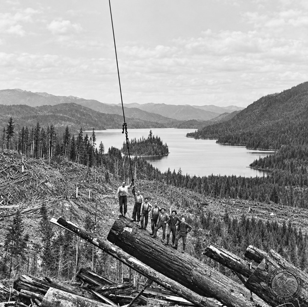 Logging crew standing among felled timber overlooking Lake Cavanaugh